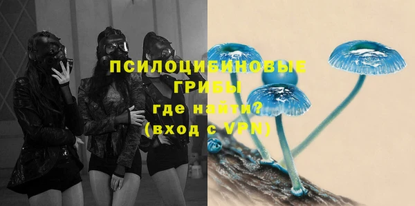 альфа пвп Горнозаводск