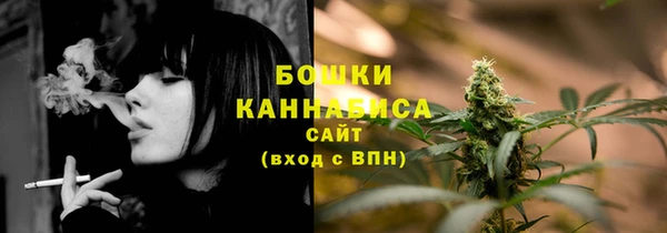 альфа пвп Горнозаводск