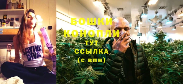 альфа пвп Горнозаводск