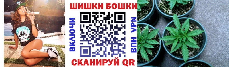 Купить  Покровск  Конопля OG Kush 